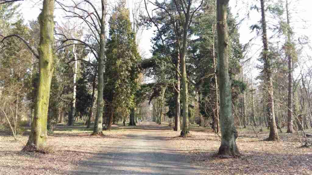 Park grabiszyński