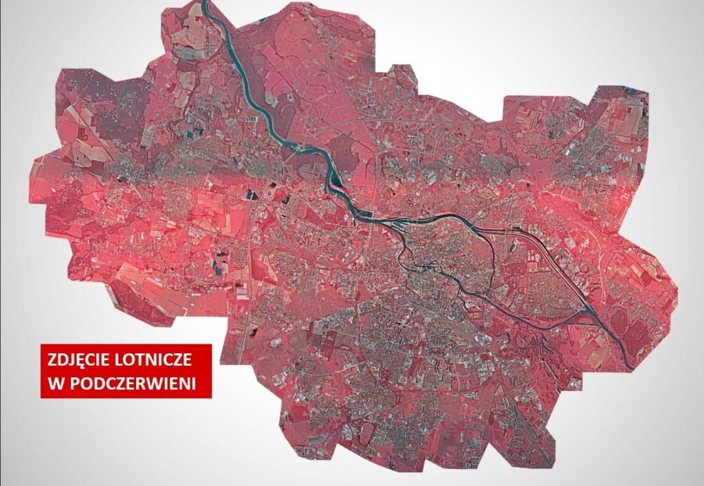 Zieleń we Wrocławiu