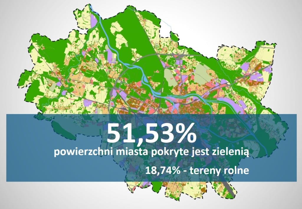 Zieleń we Wrocławiu