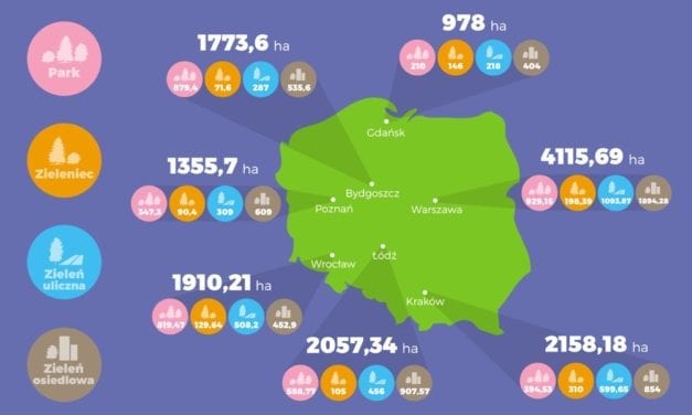 Tereny zielone we Wrocławiu – statystycznie nie jest źle