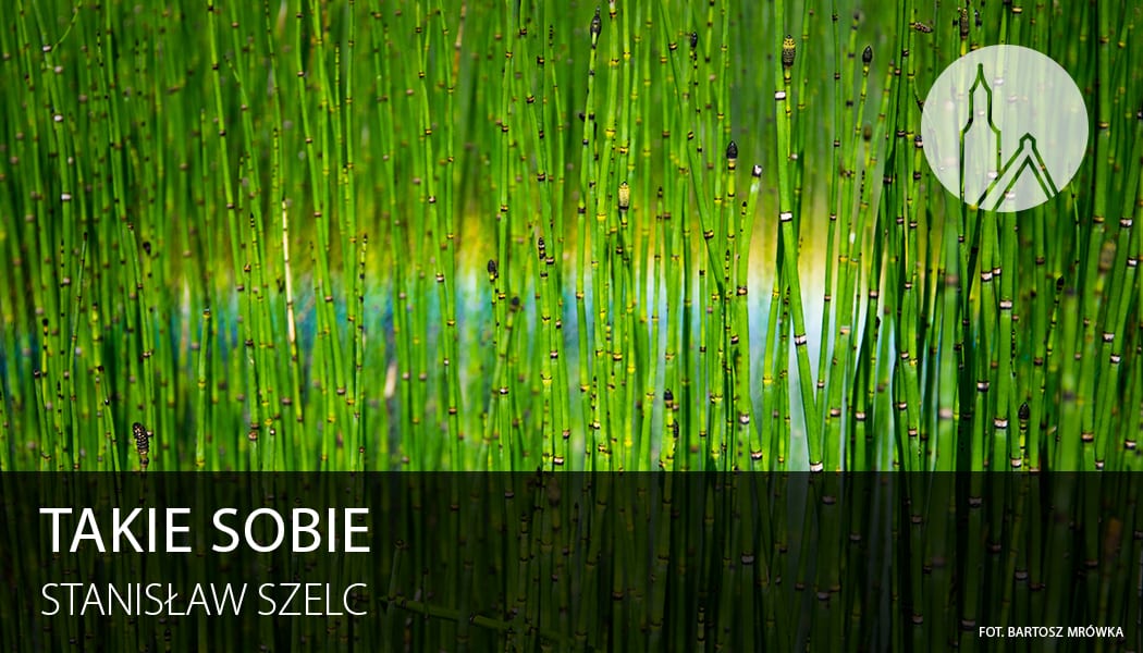 Stanisław Szelc dla Wroclife: Takie sobie