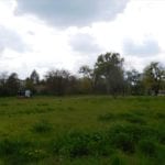 Strzegomska/Klecińska