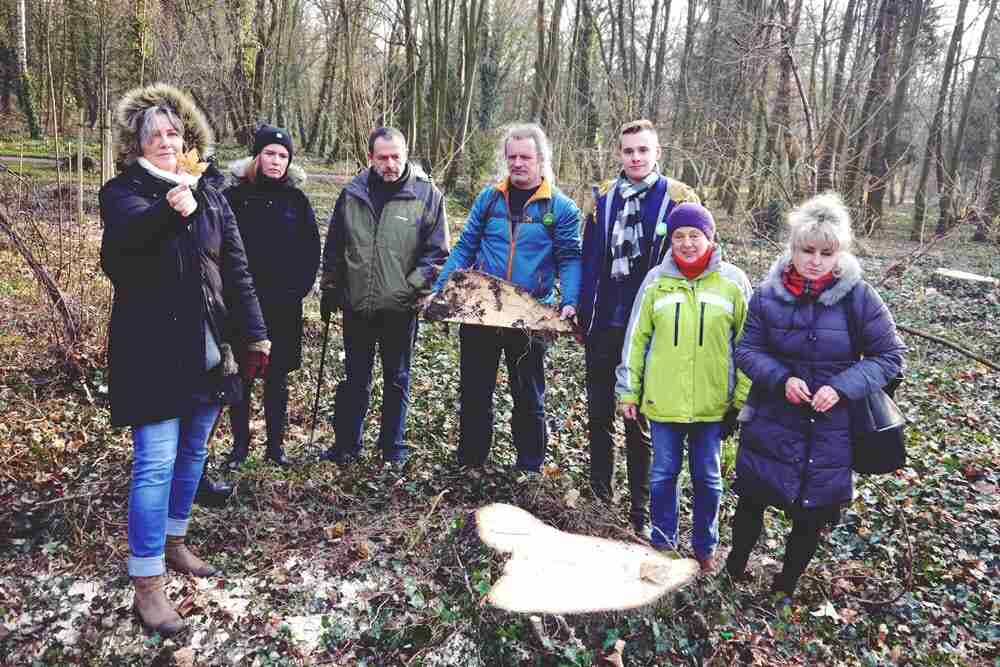 Wytną kilkaset drzew w Parku Grabiszyńskim