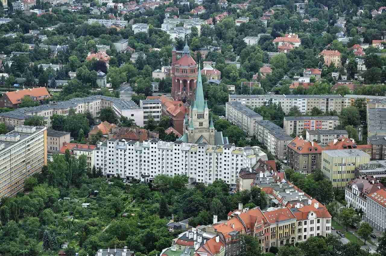 Posadzą nowe drzewa. Stare usychają
