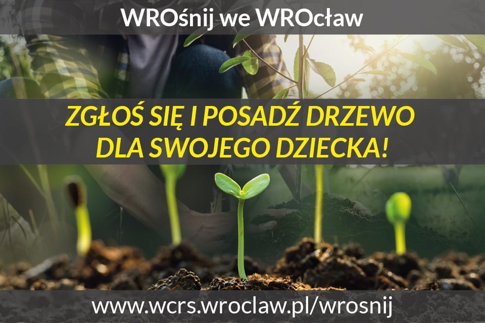 Park Młodego Wrocławianina, czyli WROśnij we WROcław