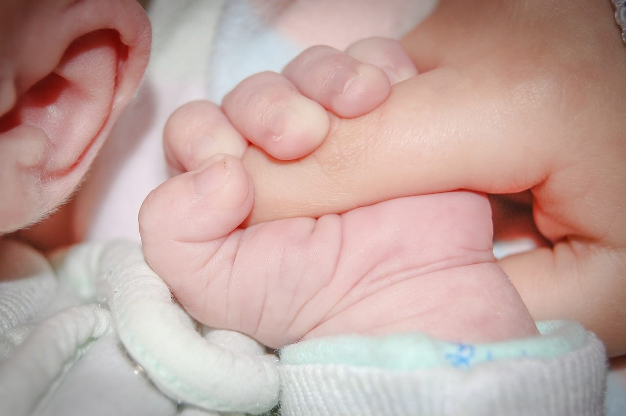 We Wrocławiu rusza program – Leczenie niepłodności metodą  in vitro