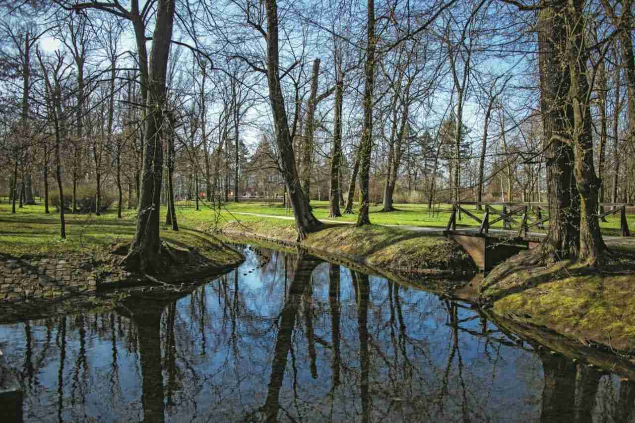 Kwitnące południe Wrocławia