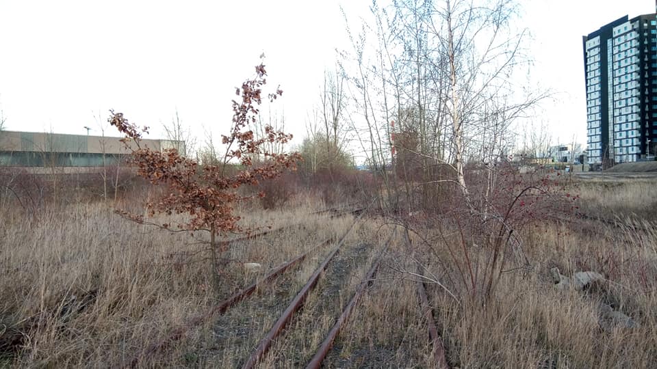Było torowisko, powstanie park!