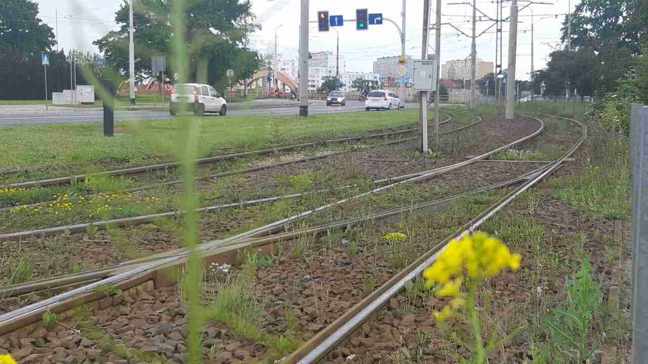 Zielone torowisko na północy Wrocławia. Umowa podpisana, prace ruszą lada dzień