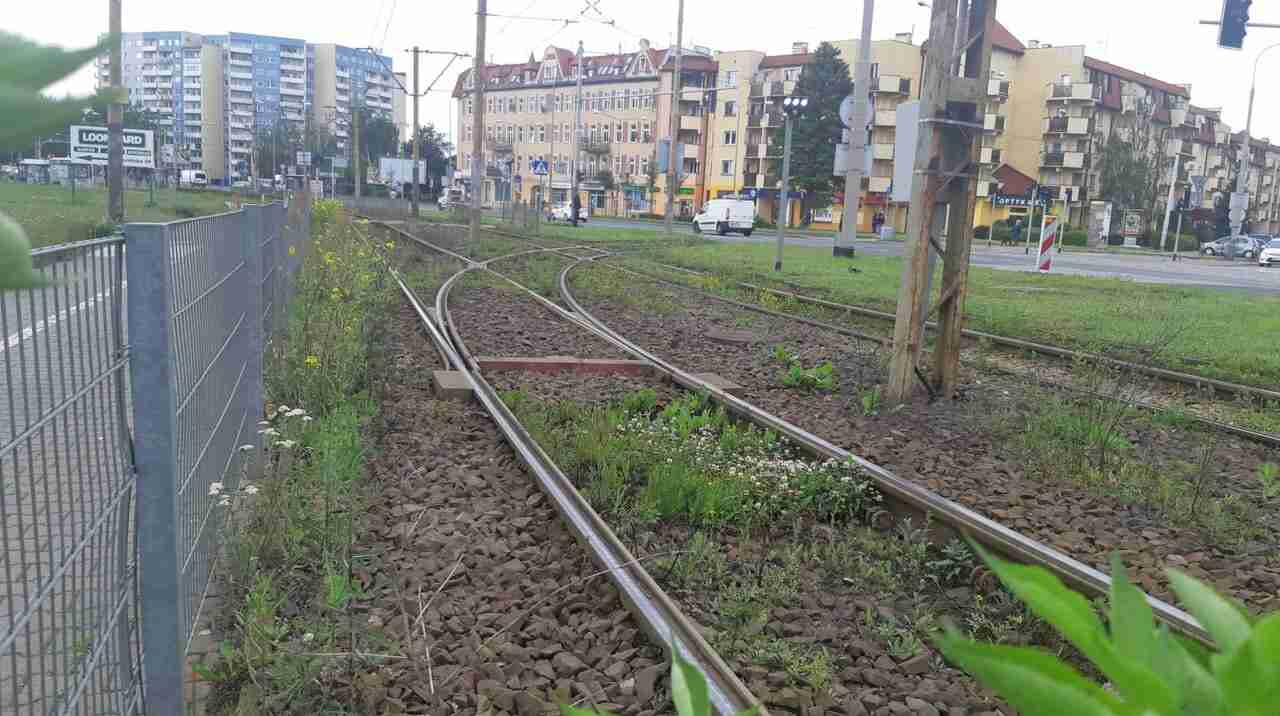 Kolejne zielone torowisko. Tym razem na północy Wrocławia