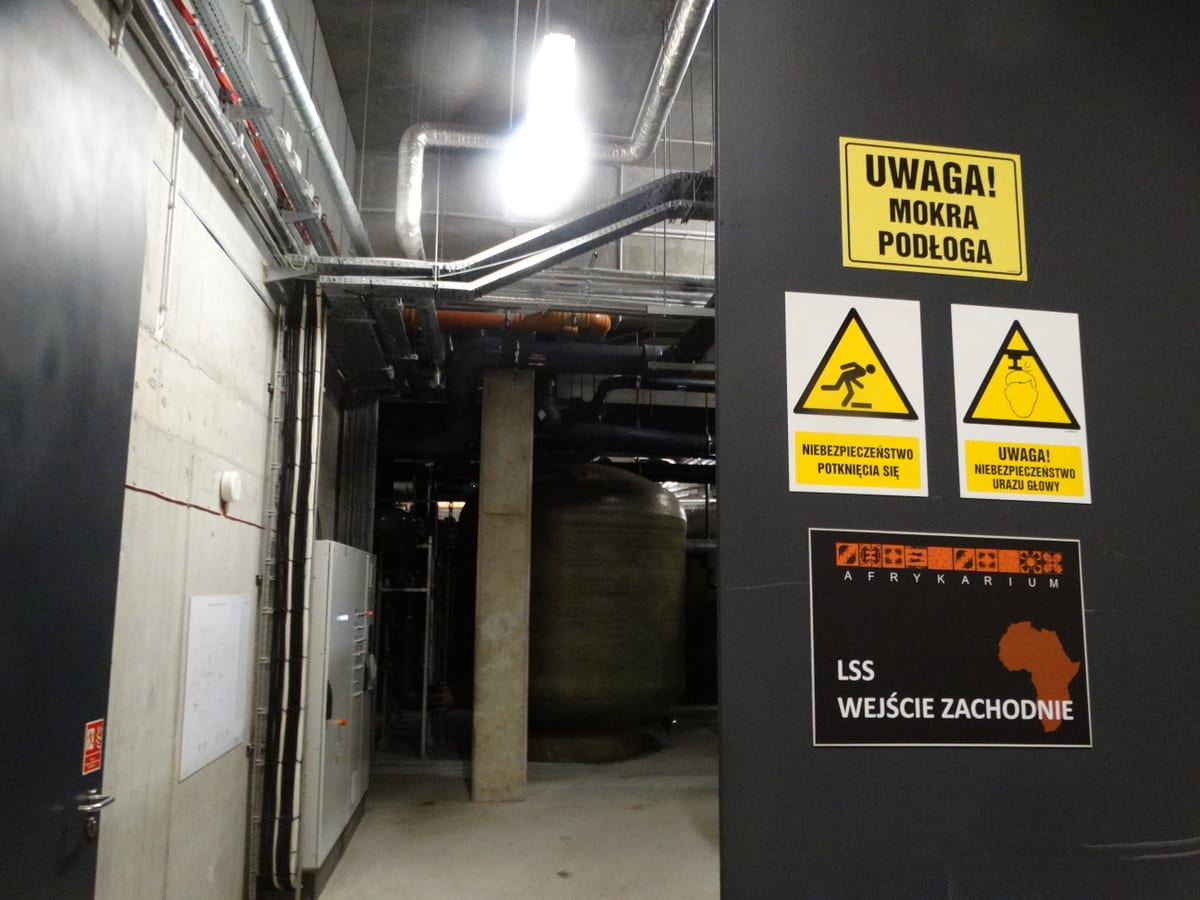 Afrykarium od kuchni. Nietypowa ścieżka zwiedzania przez zaplecza oceanarium