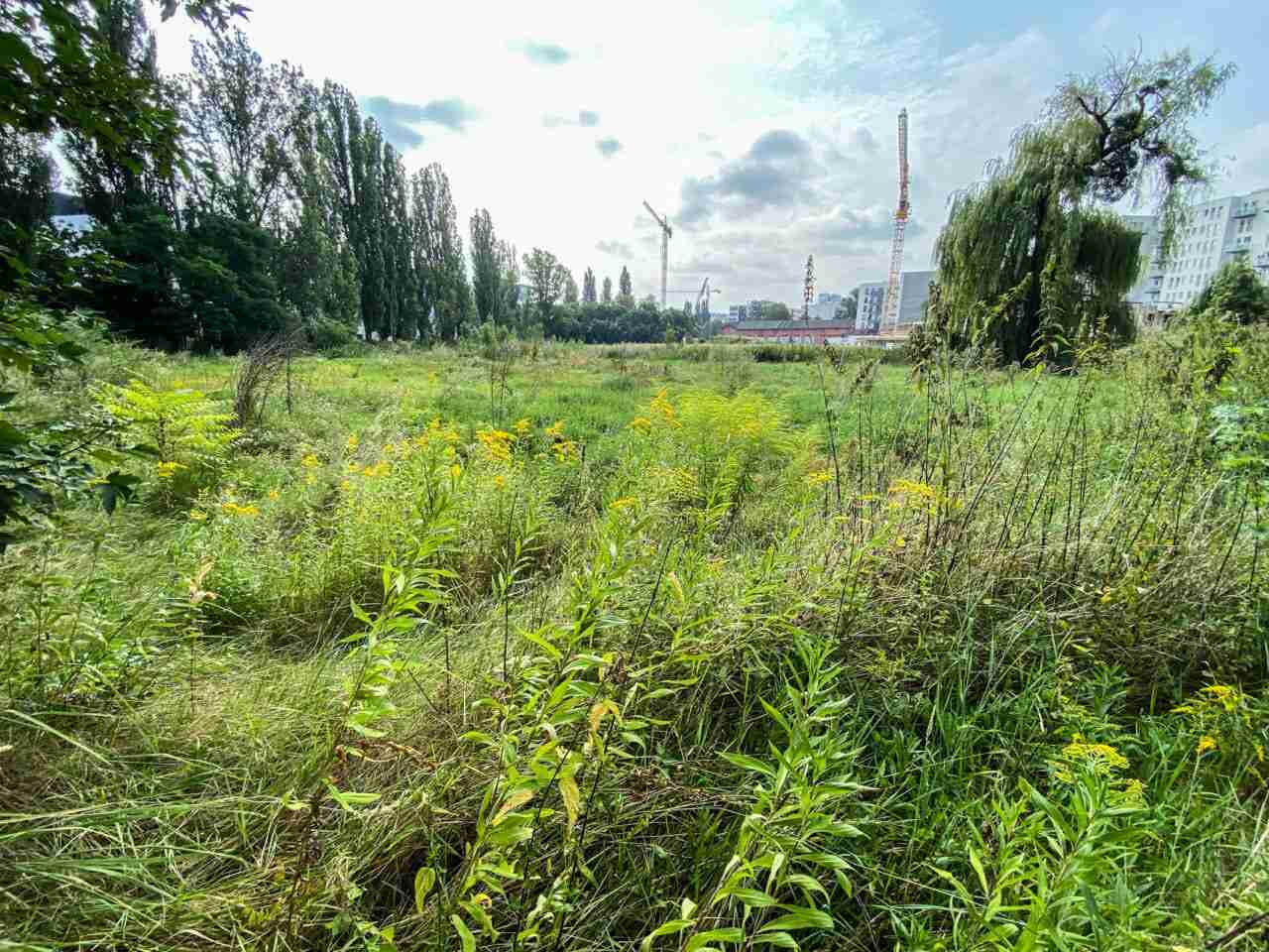 Miasto przejęło od wojska tereny pod nowy park i szkołę