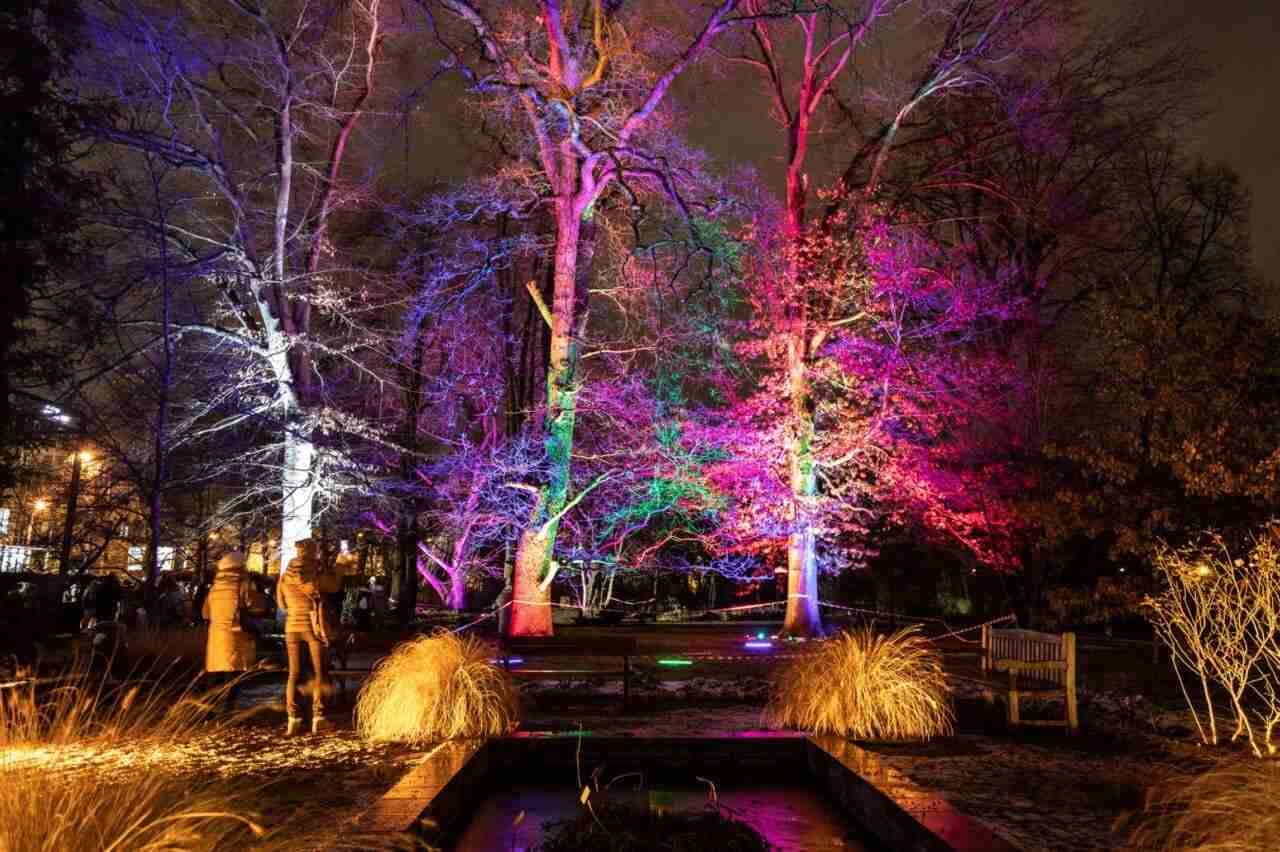 Światłogród powraca! 3 grudnia pierwszy pokaz iluminacji i laserów w Ogrodzie Botanicznym