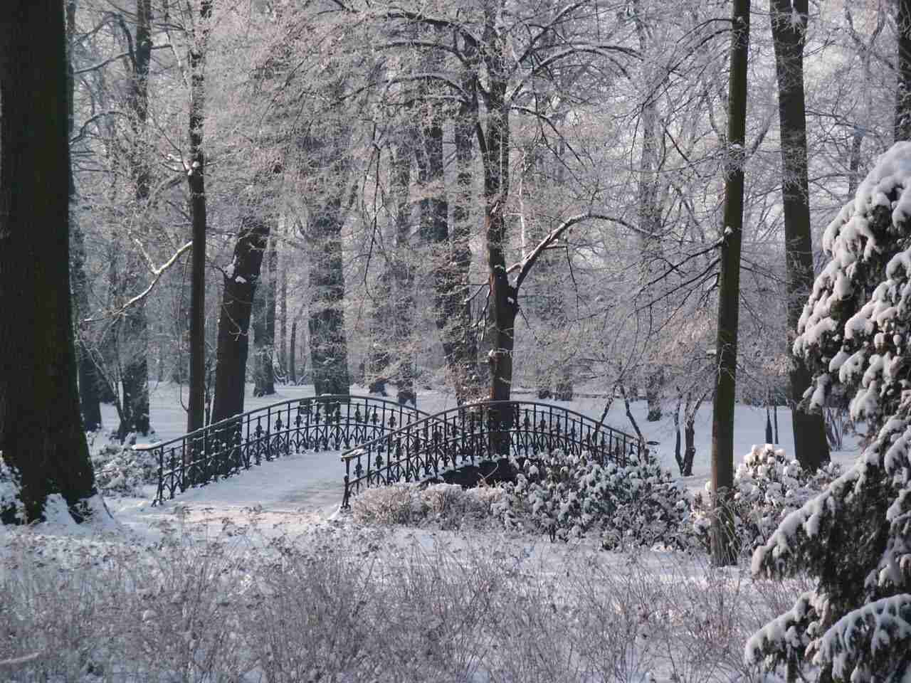 Wieś zamieniona w park