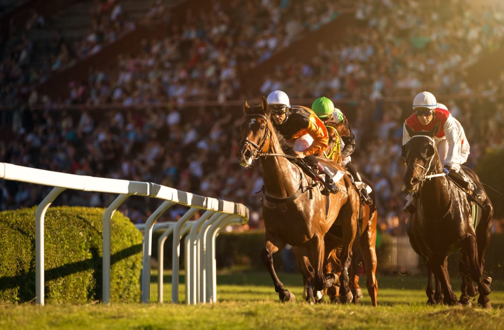 Wyścigi konne, czyli zapomniana geneza zakładów bukmacherskich