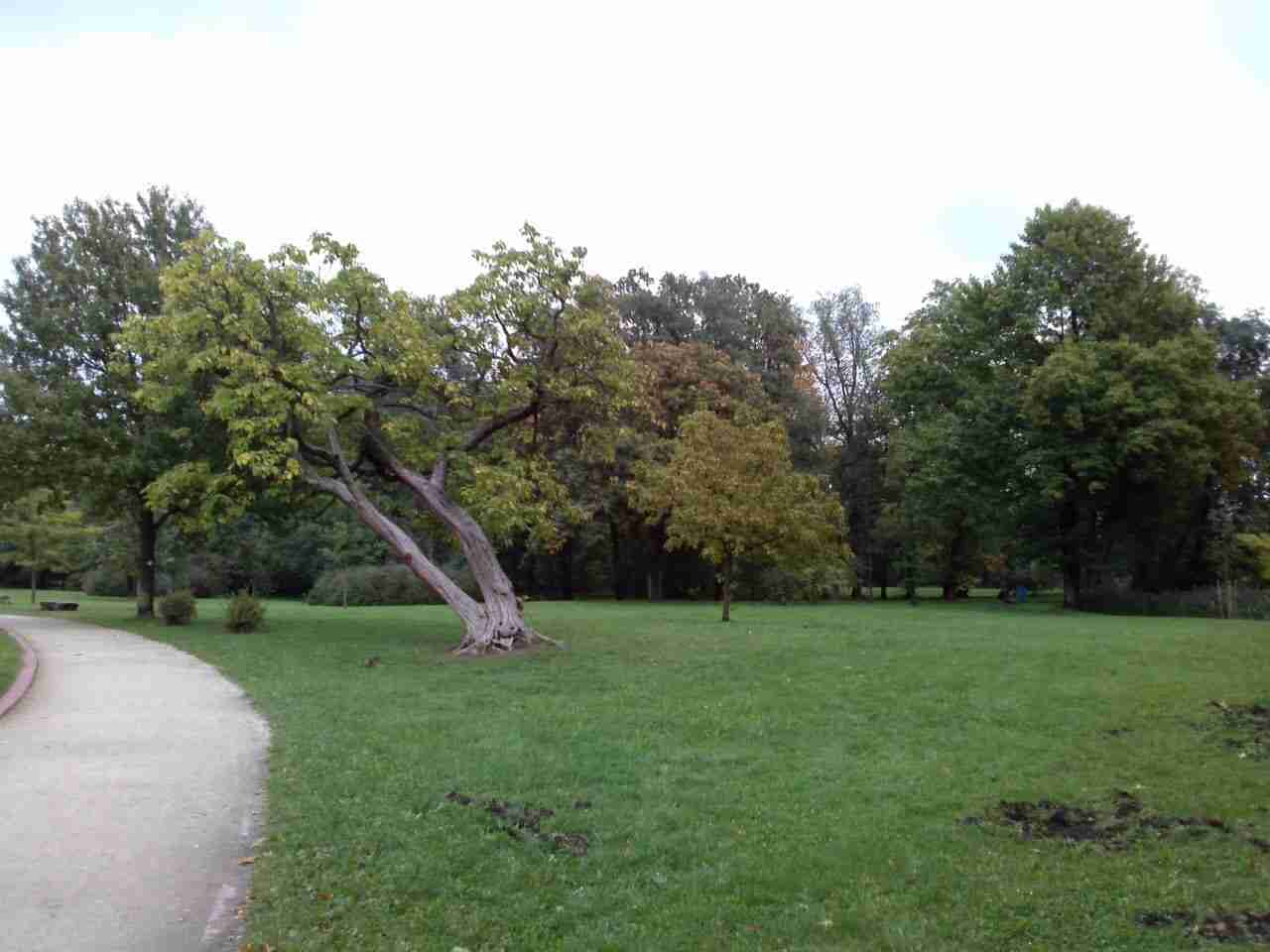 Niezwykły park w zakolach Bystrzycy