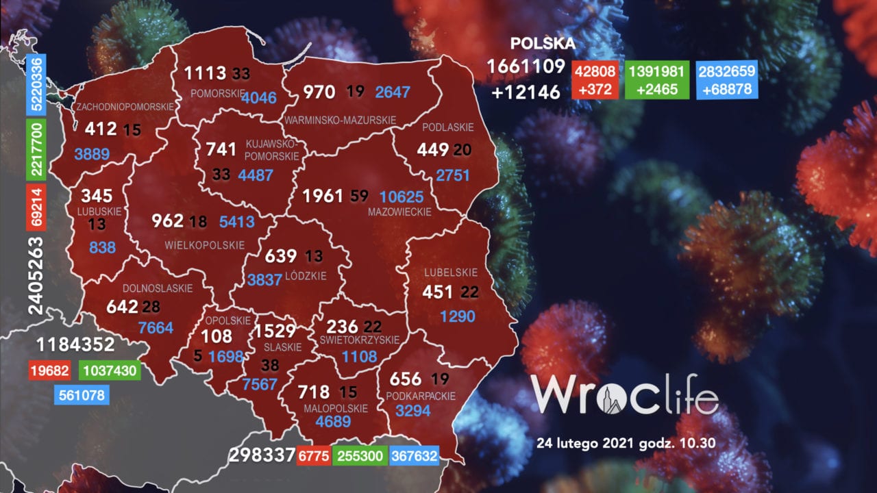 Koronawirus we Wrocławiu, na Dolnym Śląsku, w Polsce [RAPORT 24.02]