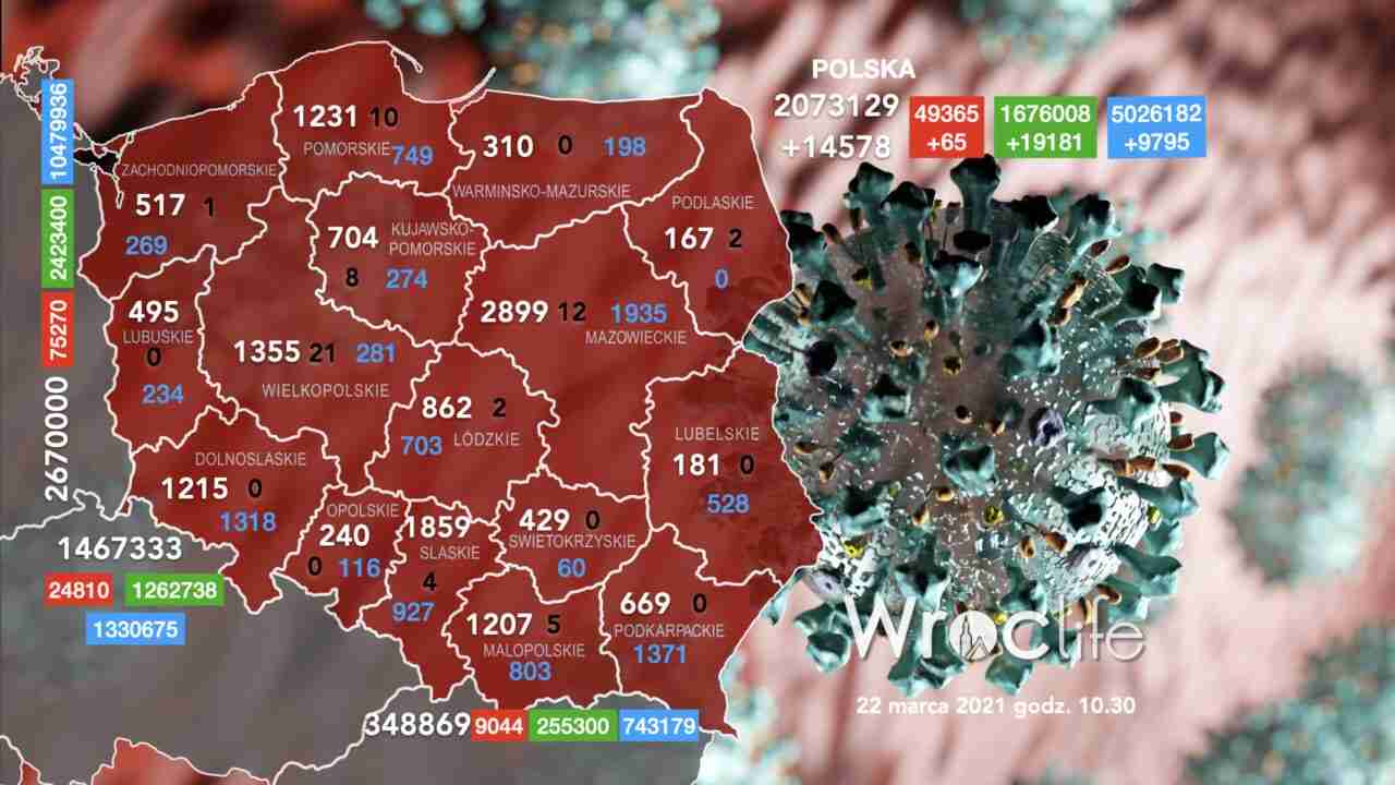 Koronawirus we Wrocławiu, na Dolnym Śląsku, w Polsce [RAPORT 22.03]