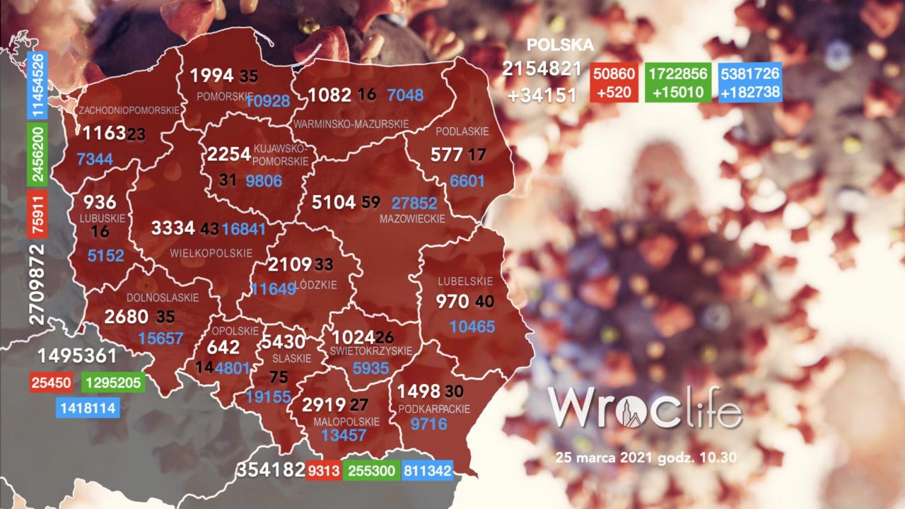 Koronawirus we Wrocławiu, na Dolnym Śląsku, w Polsce [RAPORT 25.03]