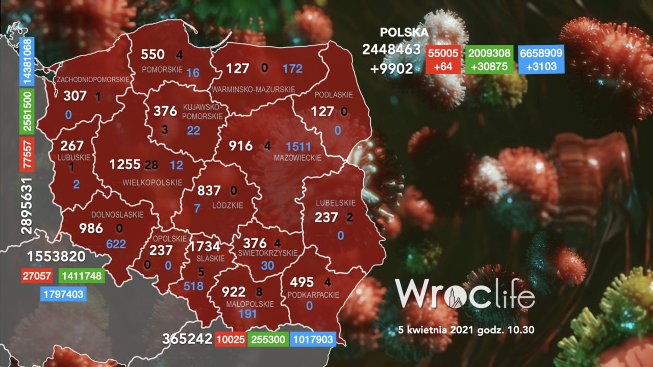 Koronawirus we Wrocławiu, na Dolnym Śląsku, w Polsce [RAPORT 05.04]