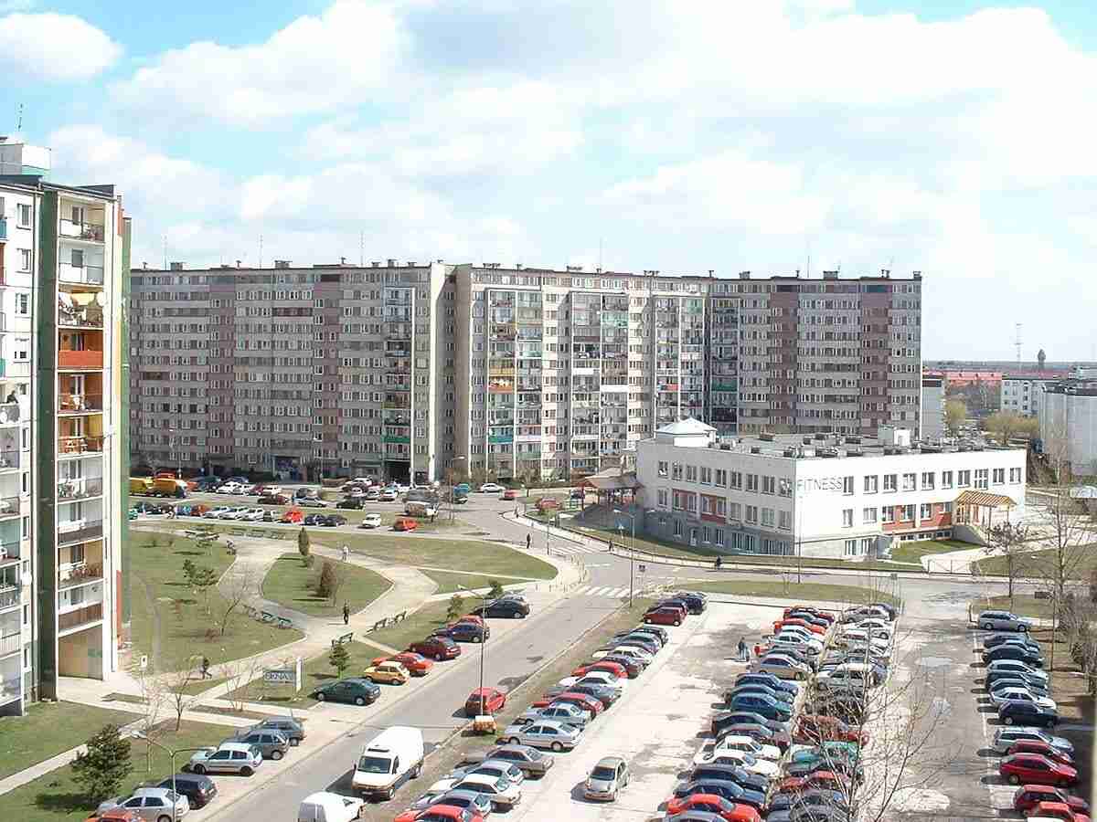 Wrocławskie ARCHistorie – Gaj