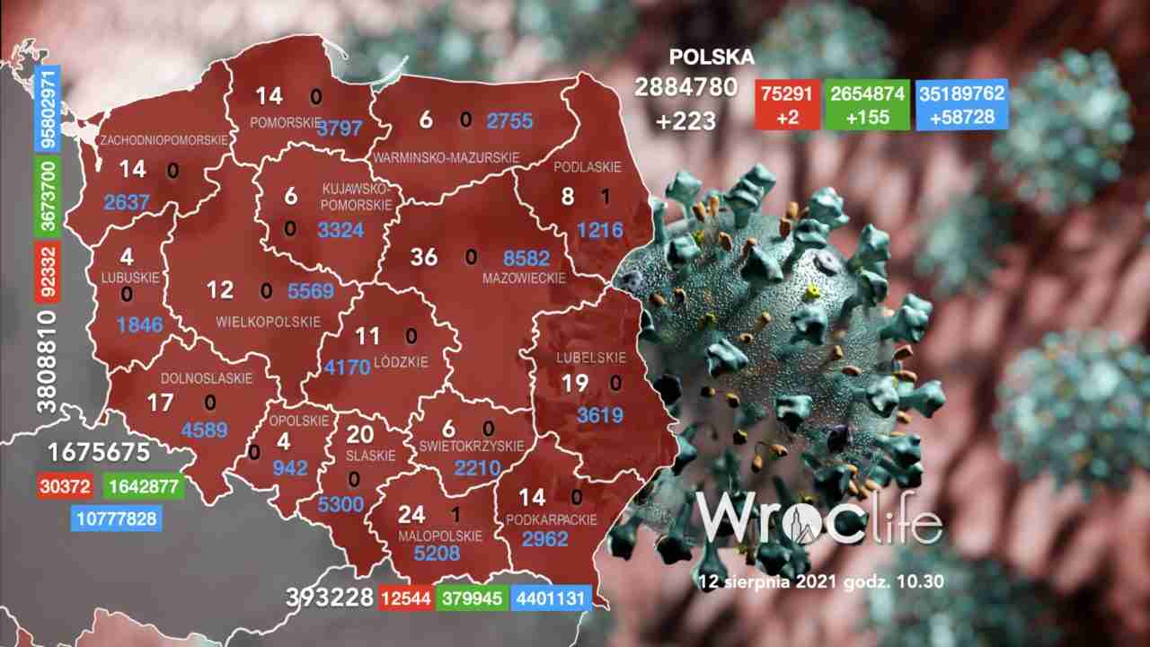 Koronawirus we Wrocławiu, na Dolnym Śląsku, w Polsce [RAPORT 12.08]