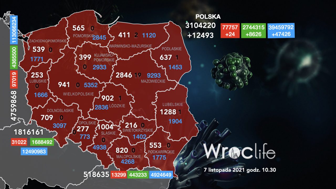 Koronawirus we Wrocławiu, na Dolnym Śląsku, w Polsce [RAPORT 7.11]