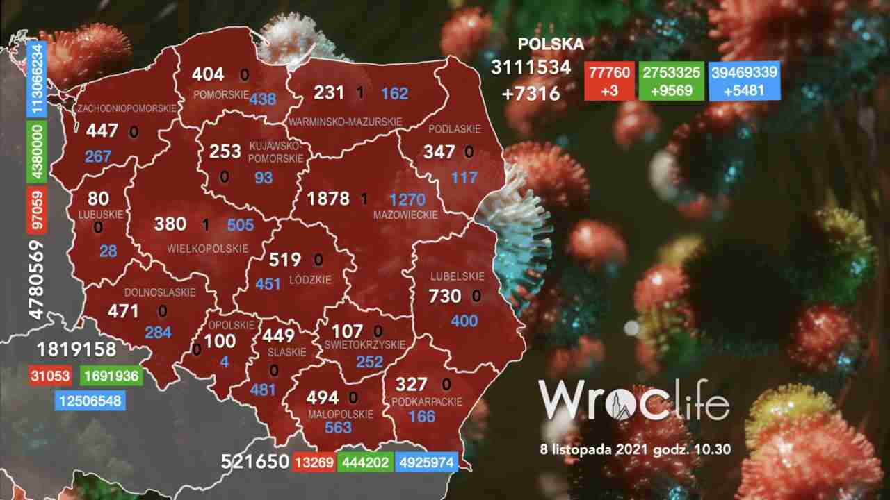 Koronawirus we Wrocławiu, na Dolnym Śląsku, w Polsce [RAPORT 8.11]