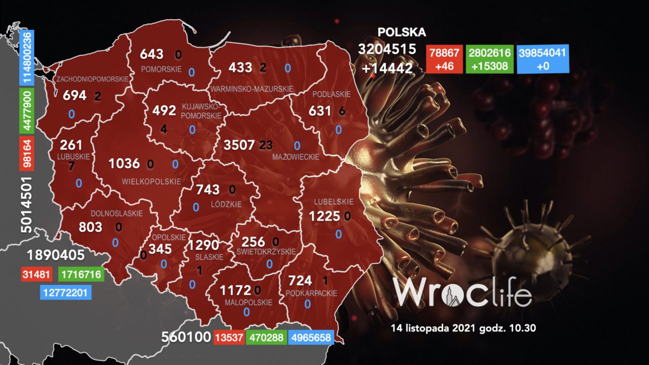 Koronawirus we Wrocławiu, na Dolnym Śląsku, w Polsce [RAPORT 14.11]
