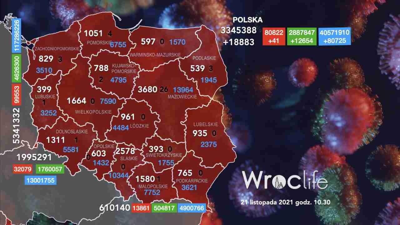 Koronawirus we Wrocławiu, na Dolnym Śląsku, w Polsce [RAPORT 21.11]