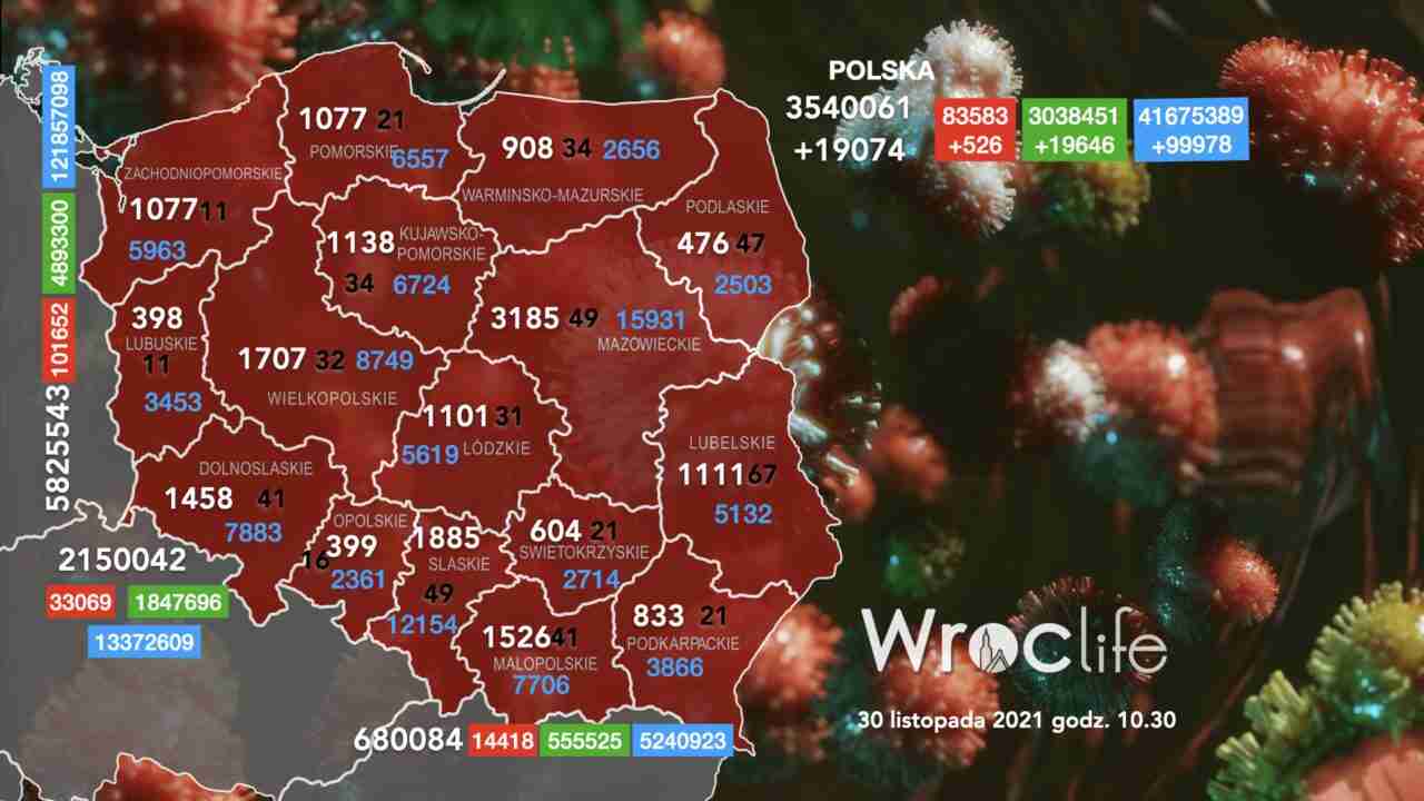 Koronawirus we Wrocławiu, na Dolnym Śląsku, w Polsce [RAPORT 30.11]