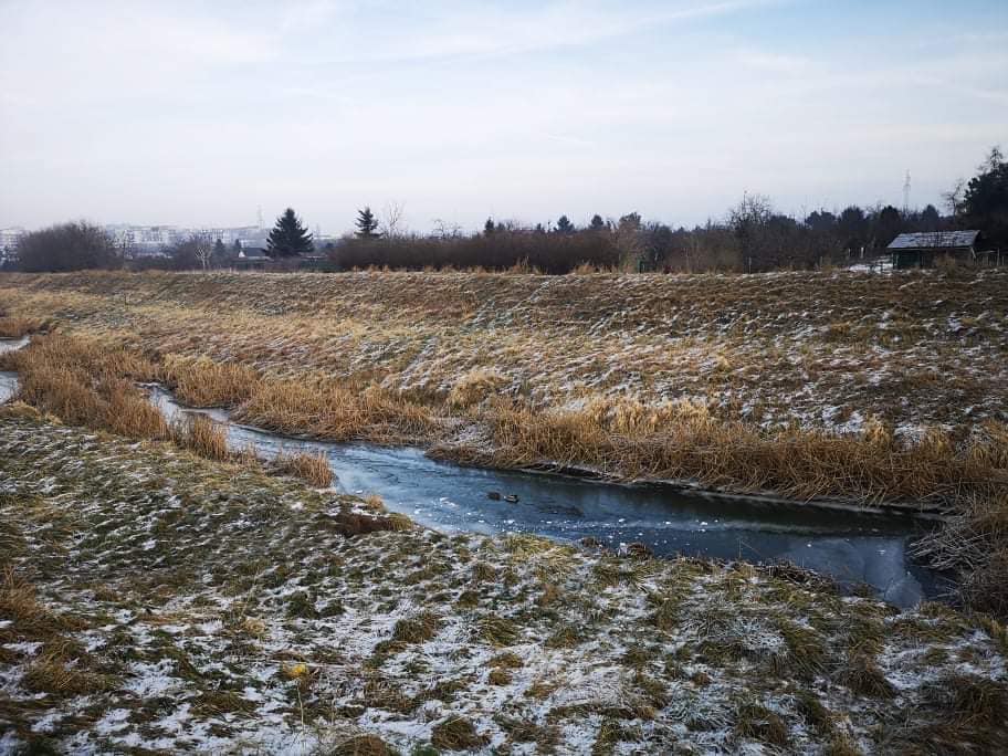 Nowa kładka nad Ślęzą połączy dwa Muchobory. 5 ofert w przetargu