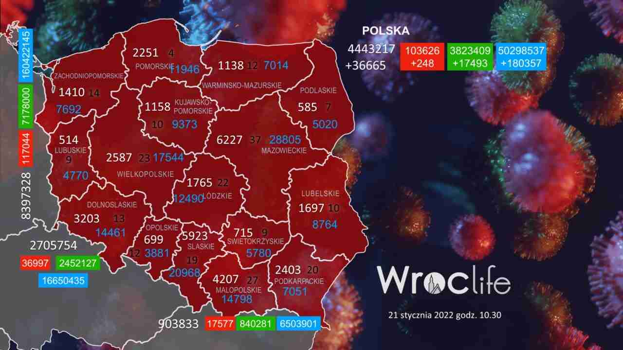 Koronawirus we Wrocławiu, na Dolnym Śląsku, w Polsce [RAPORT 21.01]