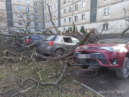 Dudley we Wrocławiu. Wichura przewraca ciężarówki i łamie drzewa