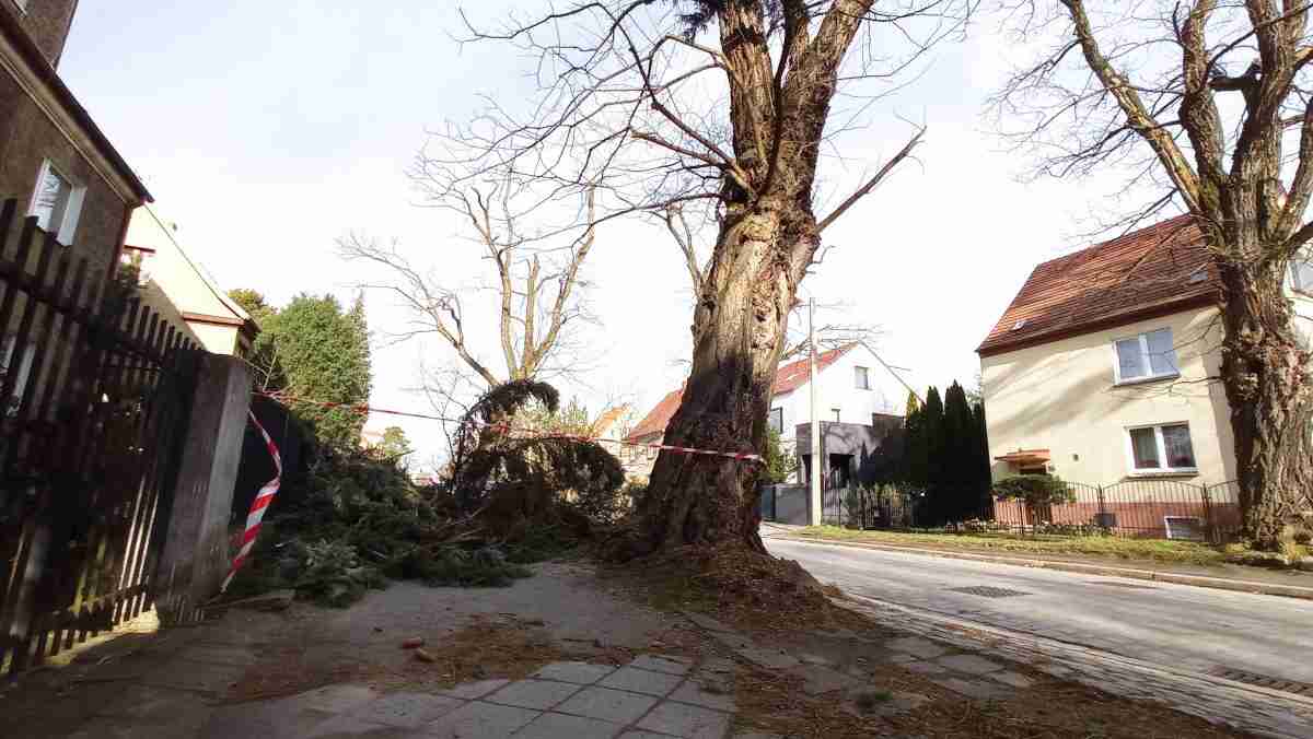 W nocy z wtorku na środę znów silne wiatry