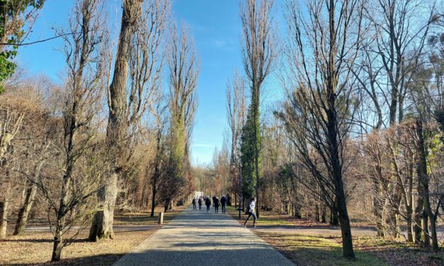 „Bieg dla Ukrainy” w Parku Grabiszyńskim