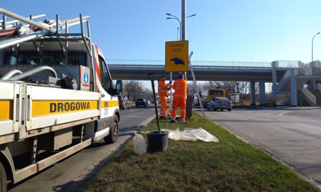 Uwaga Jeże! Nowe znaki drogowe już zawisły we Wrocławiu [ZDJĘCIA]