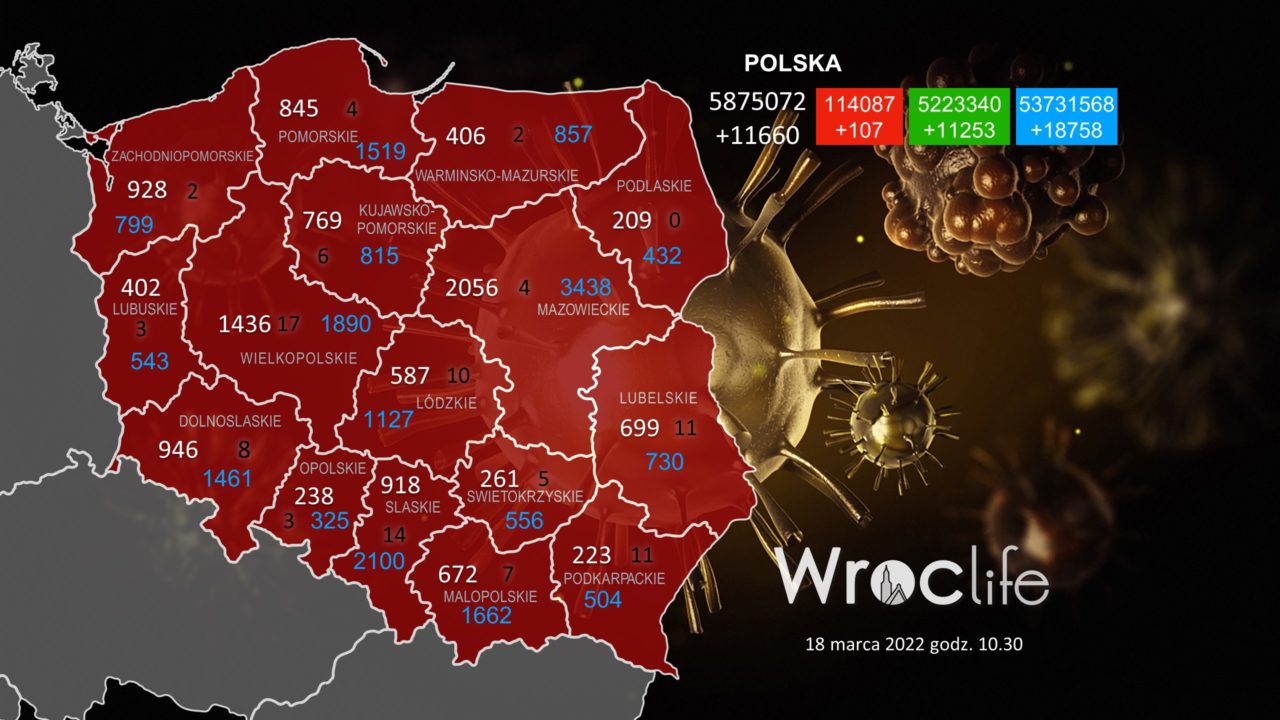 Koronawirus we Wrocławiu, na Dolnym Śląsku, w Polsce [RAPORT 18.03]