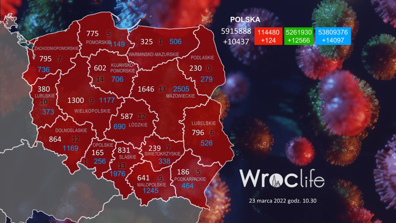 Koronawirus we Wrocławiu, na Dolnym Śląsku, w Polsce [RAPORT 23.03]